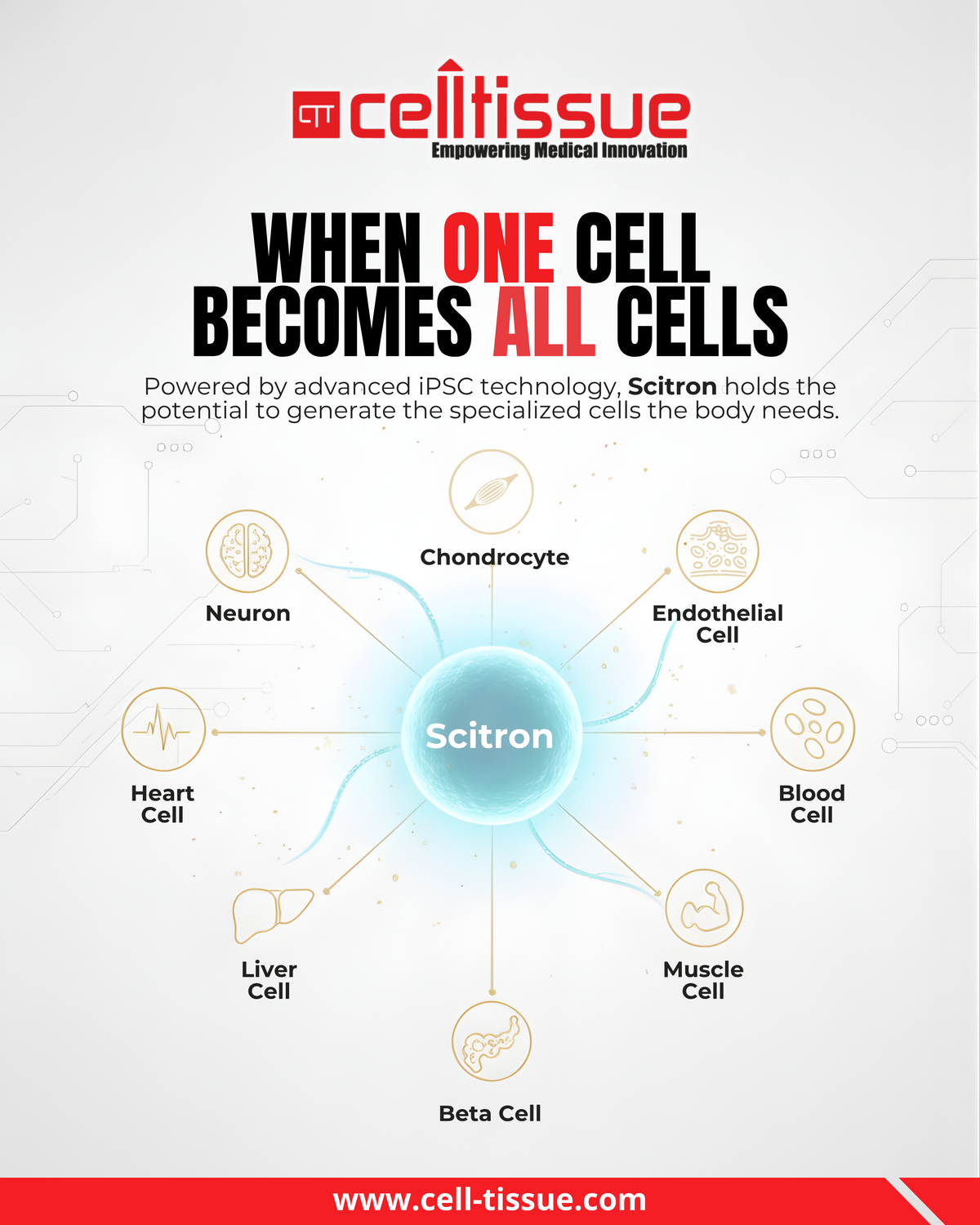 Scitron