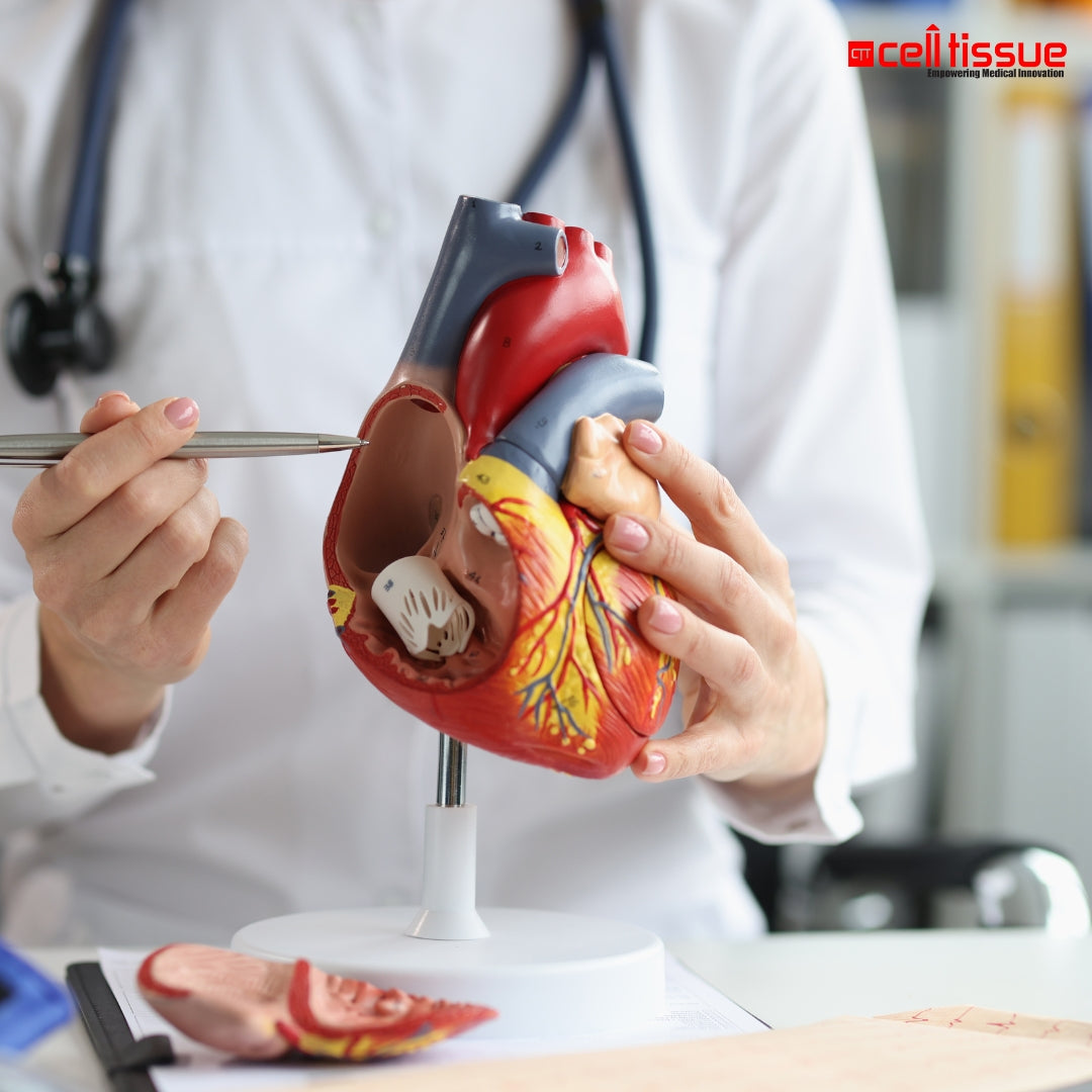 Cardiovascular Risk Blood Test Package
